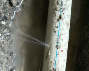 贺州卫生间测漏水多少钱